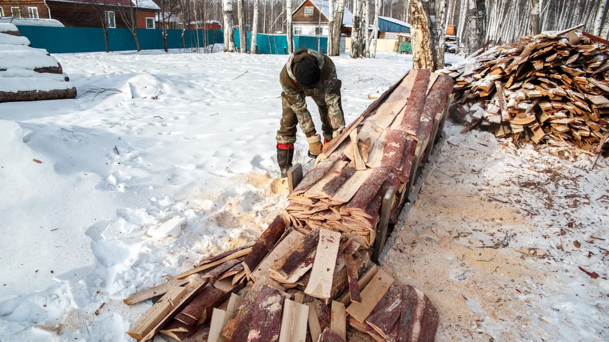 Man chopping wood in a snowy forest, surrounded by timber and log piles.